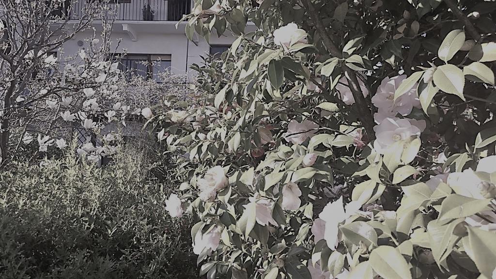 Pavone Canavese B&B Casa Passito מראה חיצוני תמונה